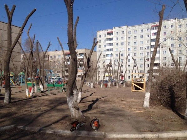 Фото Спилить дерево