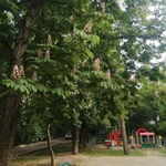 Фото №7 2-к квартира, 42 м2, 1/5 эт.