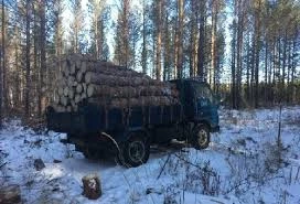 Фото Дрова Сосна-Берёза-Лествяк Колотые и чурками Доставка самосвалом 5 кубов!