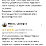 Фото №4 Дрессировка, передержка