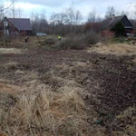 Фото №2 Аренда щепореза (измельчитель веток)