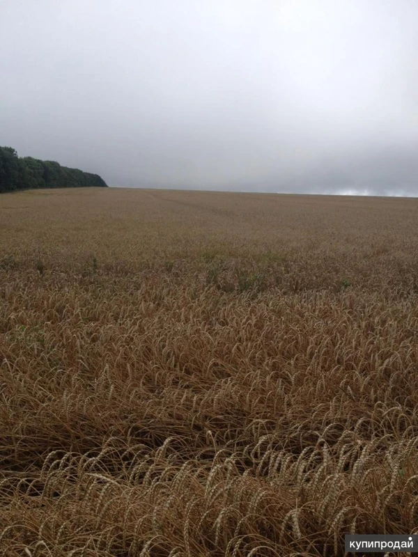 Земельный участок 430 Га (пашня)