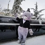 Фото №9 Аренда лимузина в Севастополе. Авто на свадьбу 