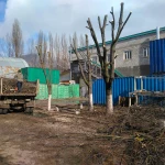 Фото №2 Спил деревьев, расчистка участков, вывоз
