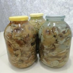 фото Грибы солёные