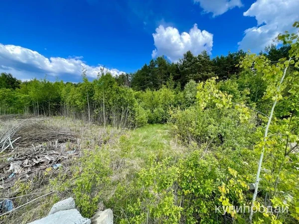 Фото Продам земельные участки, ул. Пилотная