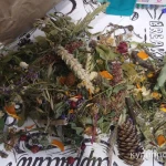 Фото №7 Свежие веточки березы, липы, ивы, осины