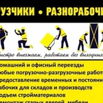 Грузчики Переезды Уборка снега Вывоз мусора