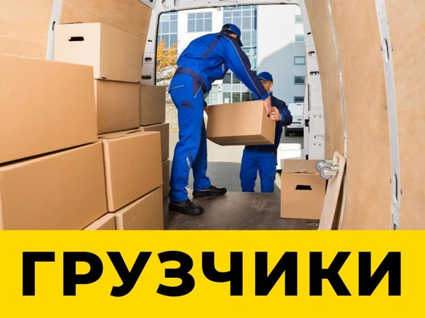 Фото Грузчики