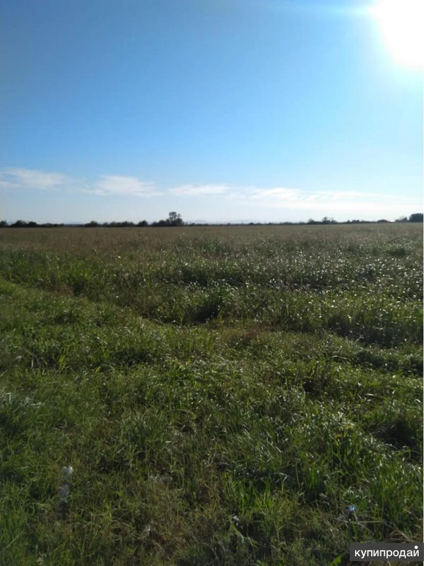 Фото Земельный участок сельхозназначения 92 гектар