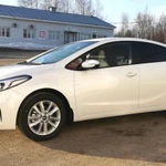 сдам авто в аренду Kia Cerato