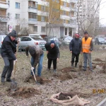 Уборка и благоустройство территории, Услуги дворников