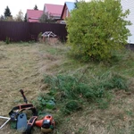 Фото №4 Покос травы уборка спил деревьев обрезка кустов