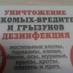 Уничтожение клопов тараканов