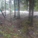 Фото №4 Выполнен объект Валка Расчистка Спил Уборка. 101 фотография.