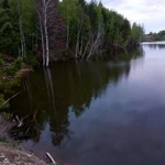 Фото №4 Платная рыбалка