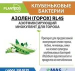 фото Азолен Горох Planteco - Клубеньковые бактерии для гороха