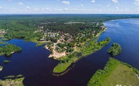 Фото Участок с лесом в лесной зоне на берегу Волги