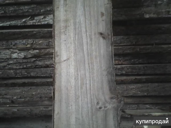 Фото Доска карагач ясень массив