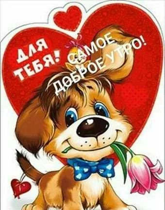 Фото Клининг