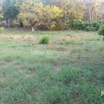 Фото №3 Лот  74765 Предлагаем к продаже просторный участок 10 соток на Северной