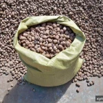 Фото №3 керамзит в мешках биг-бегх россыпью с доставкой в Уфе