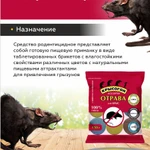 фото Крысогон ассорти 150г отрава от крыс и мышей.