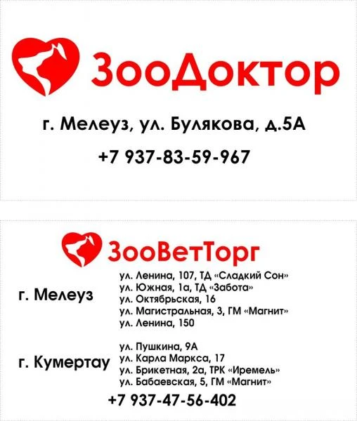 Фото современная ветеринарная клиника 
