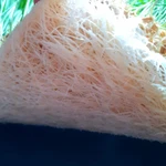 Фото №10 Сок ростков пшеницы - Витграсс