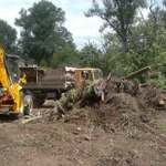 Спиливание деревьев,Расчистка участка,Демонтаж