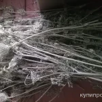 Фото №2 Дикая морковь. Цена за 100 грамм.