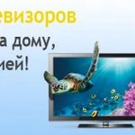 Вызов телемастера на дом