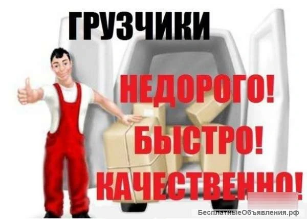 Фото Грузчики
