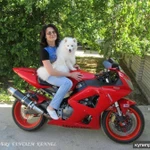 Фото №7 Белый шпиц Щенки японского шпица