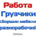 Фото №2 Грузчики в Чайковском