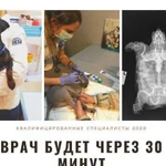 Ветеринарный Врач На Дом Круглосуточно