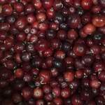 фото Продам клюква