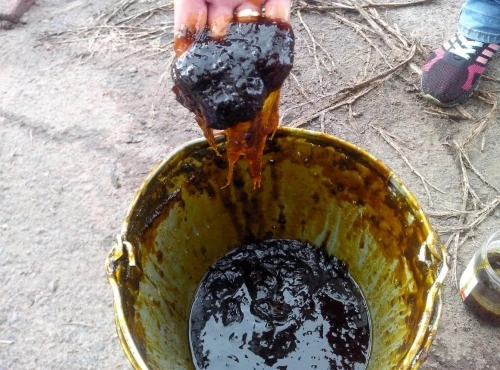 Фото ФУЗ Подсолнечный натуральный на корм животных жирность 88