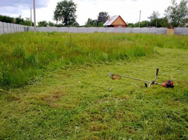 Фото Покос травы
