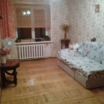 Фото №4 Домашняя зоогостиница, передержка собак и кошек