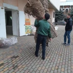 Фото №2 Сборка мебели недорого Ржев