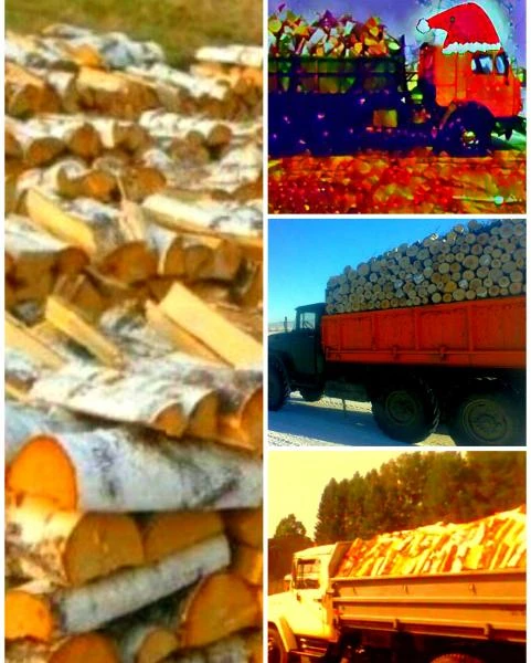 Фото Дрова колотые и чурки с доставкой