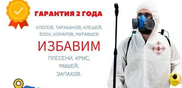 Фото Уничтожение клопов, тараканов, комаров, грызунов