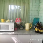 Фото №2 Дача 20 м2 Липовый остров