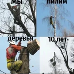 Фото №4 Спил дерева любой сложности расчистка участка