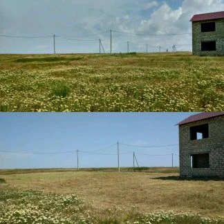 Фото Покос травы