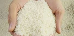 фото Премиум-качество Золотой продавец Basmati Rice