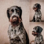 Фото №2 Фотограф