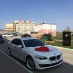 Фото №21 Прокат украшений для свадебного кортежа