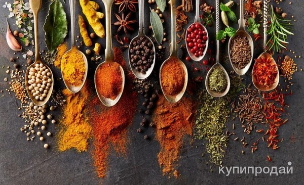 Фото Специи и овощи сушеные из Узбекистана